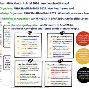Australia's Health 2024 resource package